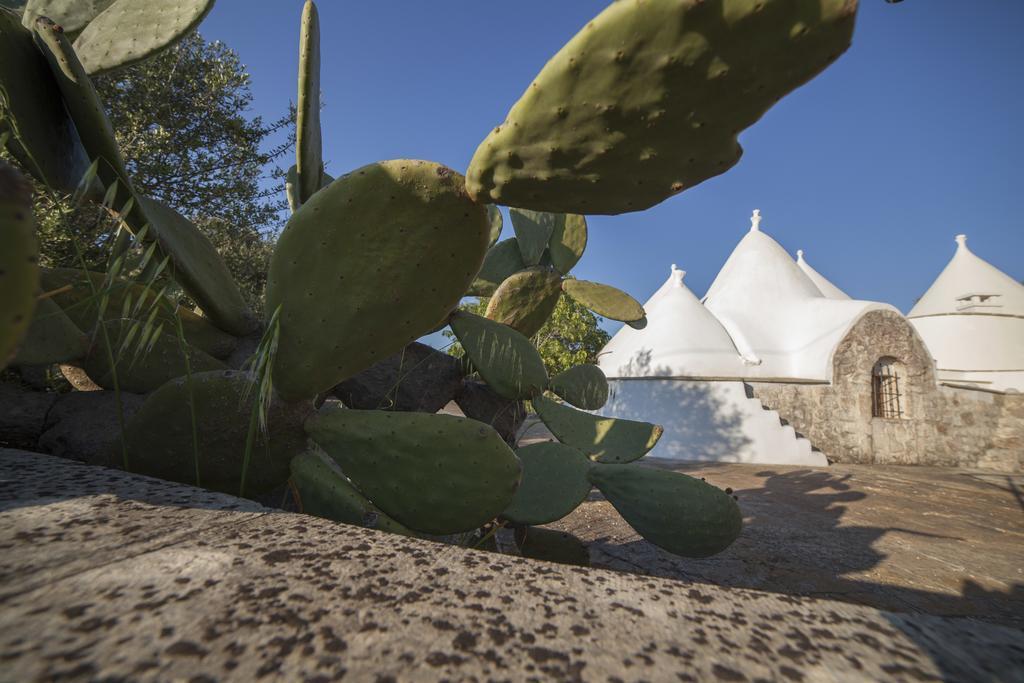 オストゥーニ Trullo Degli Uliviヴィラ エクステリア 写真
